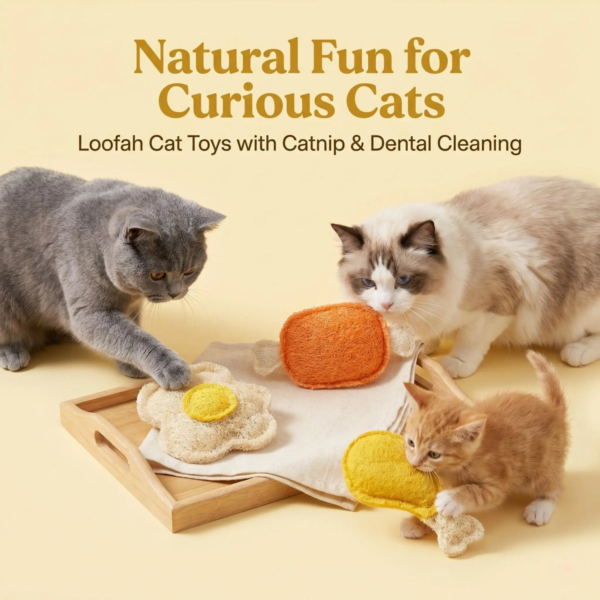 3-Pack Natural Loofah Food-Shape Pet Chew Toys (Chicken Leg, Drumstick, Egg) - Catnip & Silvervine, Antibacterial Molar Teeth Clean, Anxiety Relief, Chew Scratcher, Non-Toxic Biodegradable for Cats, Kittens & Dogs